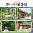 화기리인동장씨종택 | 경북 영주 여행 소수서원 입장료 선비촌 소수박물관