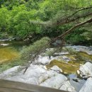 봉평 물소리펜션 이미지