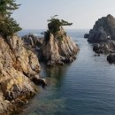 막내포차 - 중랑구 | 막내포차