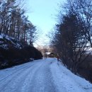 장원초등학교 이미지