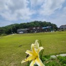 만섬 | 고급스럽고 조용해서 상견례 장소로 최고 홍성한정식맛집 만섬 홍성본점 후기