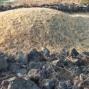 천지인장묘 이미지