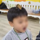 옥천초등학교병설유치원 이미지