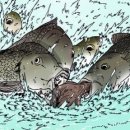 이레가든 이미지