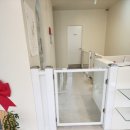 사계절 예쁘개 이미지