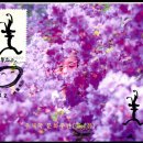 용지우체국 이미지