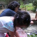 미래숲유치원 이미지