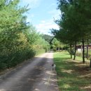 밤가시공원 화장실 이미지