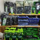 완도해성전복 이미지