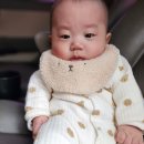뽕뜨락피자선산점 | 요리/집밥/일상)23.10.23~23.10.29