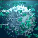 와이메디슨 이미지