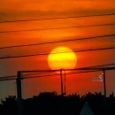 조가네치킨 이미지