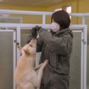 놀아줄개 | 서울근교 유기견 보호소 도로시지켜줄개 봉사활동 후기