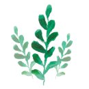 장수장의사 이미지