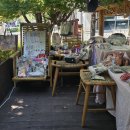 솔밭공원2 이미지