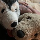 연세로뎀정신건강의학과의원 이미지