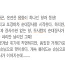 빛고을시민문화회관 이미지