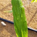 최용순농장 이미지