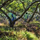 천심농장 이미지