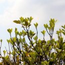 무전 해변공원 이미지