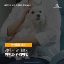 행복동물의료센터 이미지