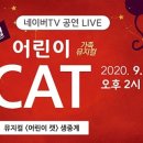 어린이가족뮤지컬 CAT 네이버블로그