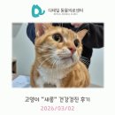 새롬동물병원 이미지