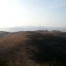 괴정승학 이미지