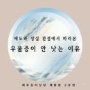 (주)더해맑음 | 제주심리상담 우울증이 안낫는 이유 애도와 상실의 관점으로