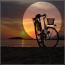 에이스노래주점 - 고창군 중앙로 180 | 에이스노래주점
