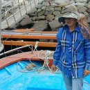 바다풍경민박 이미지