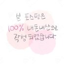 제주하늘키즈펜션 | 장난감 천국 아이들이랑 가기 좋은 키즈 펜션 제주 하늘 키즈 펜션 3층 사과방 3박 4일 후기