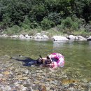 왕피리들꽃하우스 이미지