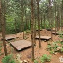 (주)소프트가족 이미지