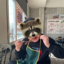 칼치고등어 | 파군재칼치고등어 – 생선 덕후 강추 맛집!