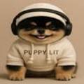 퍼피리트(PUPPY LIT) 이미지