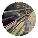 레오목장 2 이미지