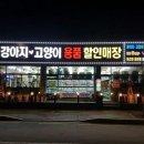 멍루아 펫살롱 이미지