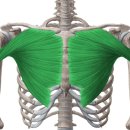 소울 트레이닝 이미지