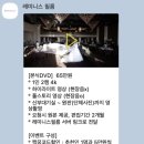 레미니스 네이버블로그
