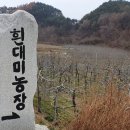 대미농장 이미지