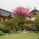 경주한옥