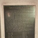 대전 뿌리공원 야간 밤 산책 후기, 은하수 꽃터널까지 걸어본 조용한 공원 드라이브