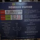 (주)토리아트 | 공원 루미나래 도화몽 몽환적 12개 테마 | 야간 미디어아트 | 루미나래 도화몽 예약 방법, 관람 팁, 주차