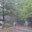 탄금공원 (탄금대로 방향) 이미지