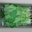 충렬농장 이미지