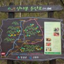 신덕면사무소 이미지