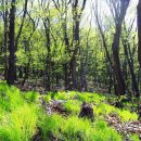 임실자연농원 이미지