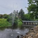 캠프예그리나 이미지