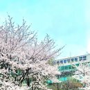 연세강인병원 이미지